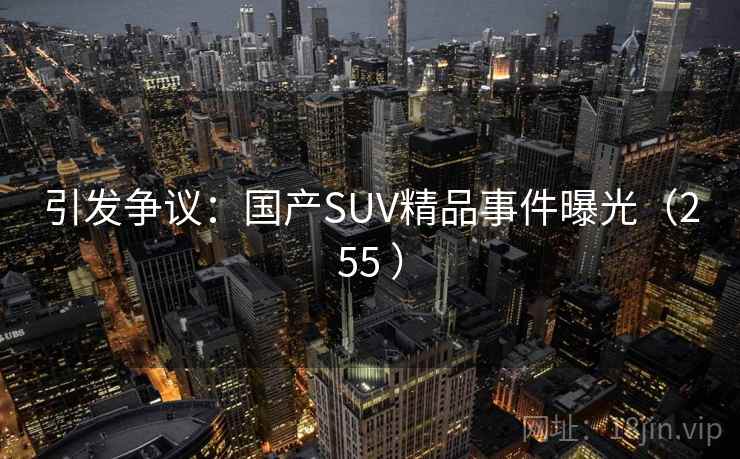 引发争议：国产SUV精品事件曝光（255 ）