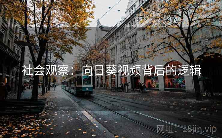 社会观察：向日葵视频背后的逻辑