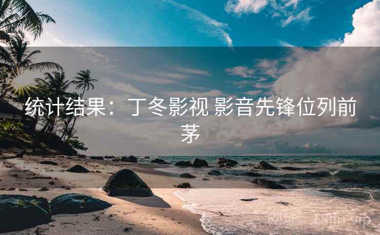 统计结果：丁冬影视 影音先锋位列前茅